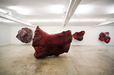 Anish Kapoor - 